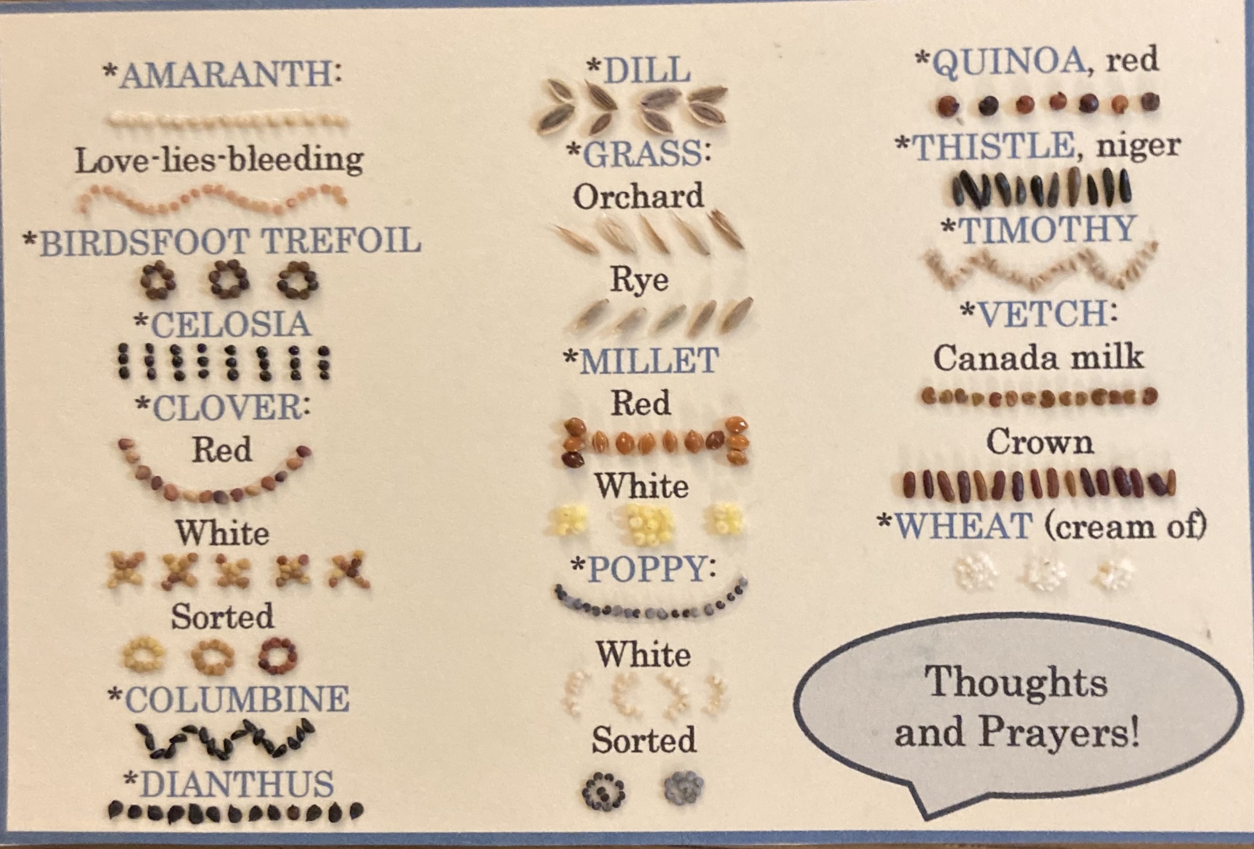 [Laura Melnick Thoughts and Prayers Seed Card image]